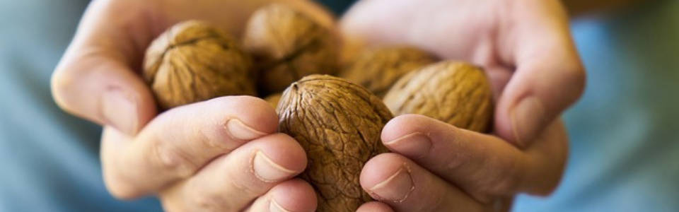 Packed with healthy, essential fats, vitamins, minerals, fibre and plant compounds, walnuts can help support your general well-being