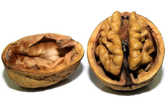 Walnut which looks like a tiny brain may help boost brain and memory.
