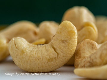 Cashew is botanically classified as a seed because it grows on the cashew apple fruit which belongs to the stone fruits. But in cooking, cashew is a nut.