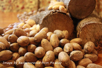 The global demand for pecans has been on the rise for the last decade and continue to climb. This is one of the reasons for their high price.
