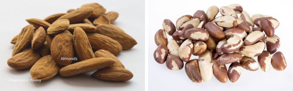 Almonds and brazil nuts are high in calcium and contain good amounts of magnesium and phosphorus. All important for bone health.