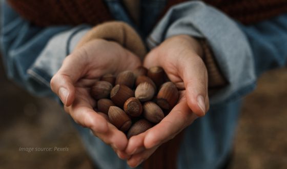 Hazelnuts are indeed a gift from nature. Their remarkable health benefits, ideal daily intake, and versatile use in your meals make them a valuable addition to your diet.