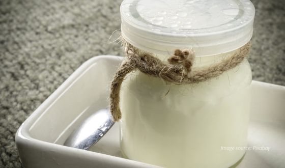Yoghurt is made from two main ingredients: milk and beneficial live bacterial cultures.